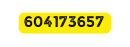 604173657