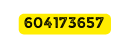 604173657